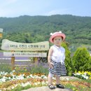 사라실 라벤더 단지 이미지