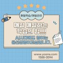 엘.디.씨－주