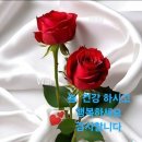 수요일 - 군산시 상지곡1길 14-6 | 수요일