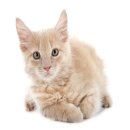 25시동물병원 이미지