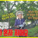 율원3천 이미지