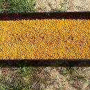 화산농장 이미지