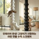 라탄테리어 | 퓨리테일 라탄 캣폴 스크래쳐, 인테리어 살리는 수직 스크래쳐 솔직 정리