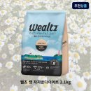 웰츠