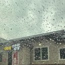 100세짬뽕 이미지