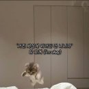 거친 세상에 뛰어든 건 나니까 암오케 아니 낫오케