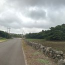 비그로브 비 | 제주도 구좌읍 숙소 비그로브 내돈내산 제주도 동쪽 풀빌라 제주도 동쪽 감성숙소 힐링 후기