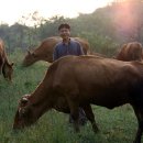 정다운농장 이미지