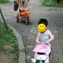 누리아미 이미지