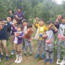 충주 강천초 충북일보
