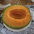 한국농장 | 홋카이도여행 후라노 팜토미타 근처 메론맛집 후쿠다 메론농장 후기