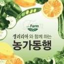 착한농가