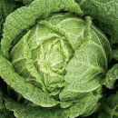 박경자농장 이미지