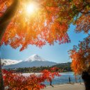 새동인당 약국 이미지