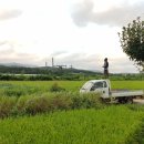 광원농장 이미지