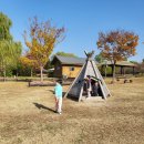 새보람유치원 이미지