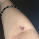 우주코인노래연습장 이미지