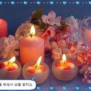 참아름@ 이미지