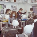 부산애견미용 이미지