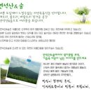 연석산&숲 이미지