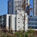 이레약국 이미지