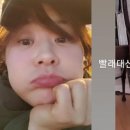 우리고양이 이미지