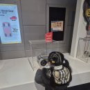 예나유치원 | 기장 국립부산과학관 일요일 오전 10시도착 7살자녀와 관람후기