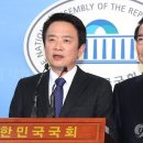 대연정