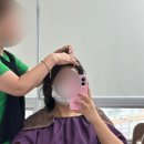 청초로 | 두피도 피부다! 머리나는 청초 프리미엄 두피신경케어 솔직후기