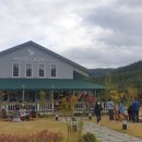 화이트 크로우 브루잉 이미지