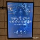 도안동로 11번길 | 개봉신작 살목지 후기 실화괴담 공포영화 관람 리뷰 한국 물귀신 호러물