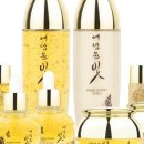 더효도케어