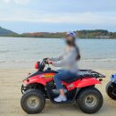 충남지물 | 안면도 ATV 꽃지레포츠 | 정글부터 해변까지 돈 값 하는 코스 후기