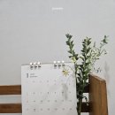베르판 글로브 투명 아크릴 부분, 나만의 청소 방법
