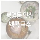 백록 | 유성 온천 맛집 | 대전 백록 국수 후기