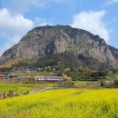 성읍환승정류장 이미지