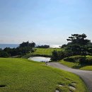 오션비치 이미지