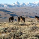 신대륙목장 이미지