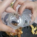 고집불통대패삼겹살 이미지