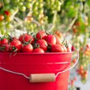 한울농장 2 이미지