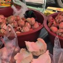 동양헬스클럽 | [괴산제천단양] 2026년 3월 여기저기 가족여행 1일차-①괴산전통시장