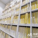 문찬수압구정성모내과의원 네이버블로그
