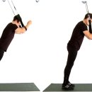[Jungle sports suspension training] Rectus abdominis &amp; Erector spinae 이미지