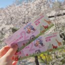 스카이 | 서울대공원 동물원 스카이리프트 후기 및 벚꽃 실시간 주차장 꿀팁