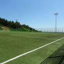 강구대게축구장 이미지