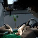 두손모아치과의원 이미지