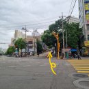 용인대태권나라 이미지