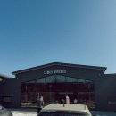 투웰브 | 천안 화덕피자 브런치카페 투웰브 마지막 애견동반 후기