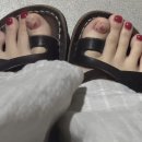 유한회사라온건설 | 2025년 7월 우기 세부 여행 일기 (라온스파,제이파크리조트,한바다호핑,세부맛집 )