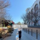 강아지마을 | 전주 한옥마을 강아지 동반 여행 대형견 리트리버랑 전주 여행 후기